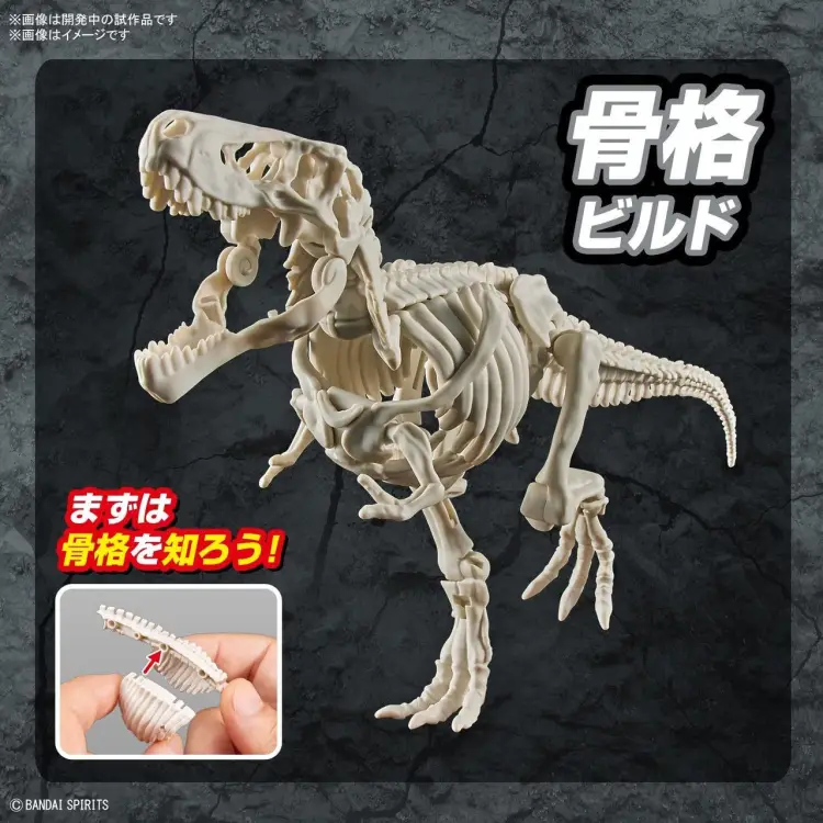 DINOSAUR - Nowy plastikowy tyranozaur dinozaura (wstępnie) - Zestaw modelarski