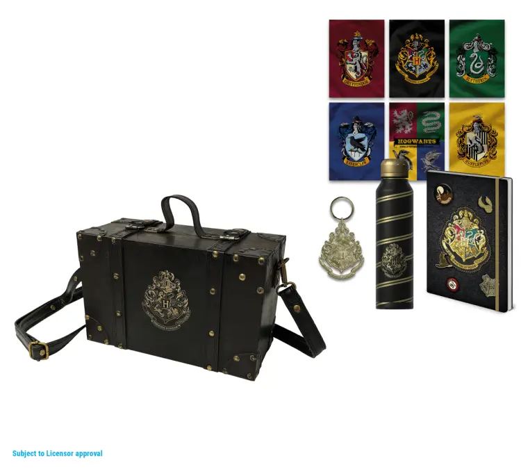 HARRY POTTER - Kolorowy grzebień - zestaw upominkowy premium