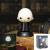HARRY POTTER - Harry Potter Voldemort - 10 cm