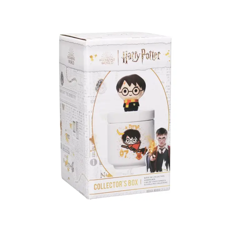 HARRY POTTER - Harry "Kawaii" - Pudełko kolekcjonerskie