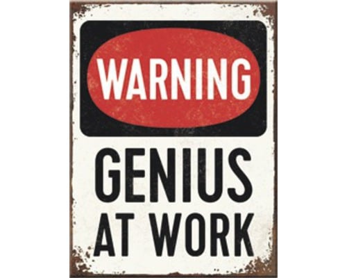 GENIUS AT WORK - magnes 6x8cm