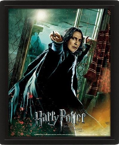 HARRY POTTER - Insygnia Śmierci - plakat soczewkowy 3D 26x20cm