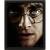 HARRY POTTER - Harry vs Voldemort - plakat soczewkowy 3D 26x20cm