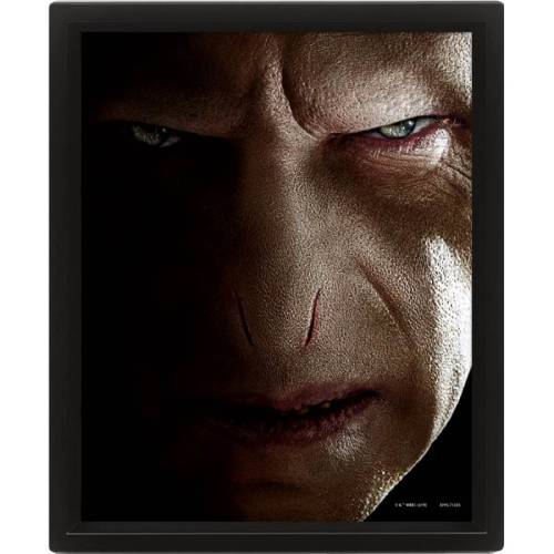 HARRY POTTER - Harry vs Voldemort - plakat soczewkowy 3D 26x20cm
