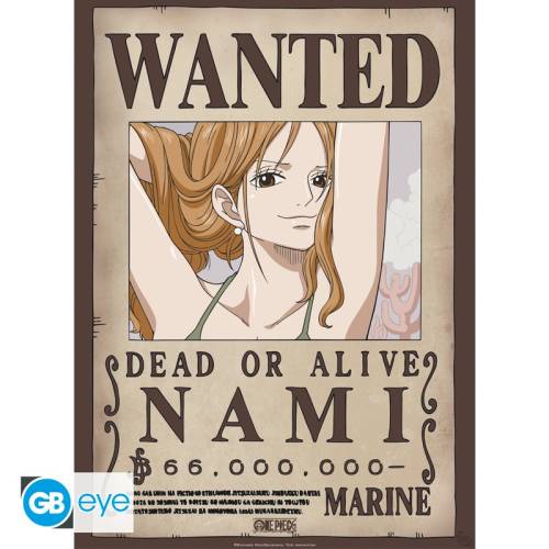 ONE PIECE - Nami & Robin - Zestaw 2 plakatów "52x38