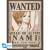 ONE PIECE - Nami & Robin - Zestaw 2 plakatów "52x38