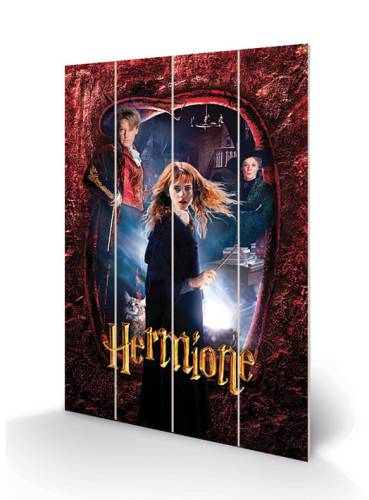 HARRY POTTER - Nadruk na drewnie 40x59cm - Hermiona