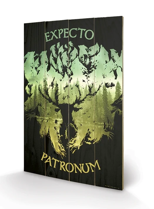 HARRY POTTER - Nadruk na drewnie 40X59 - Expecto Patronum