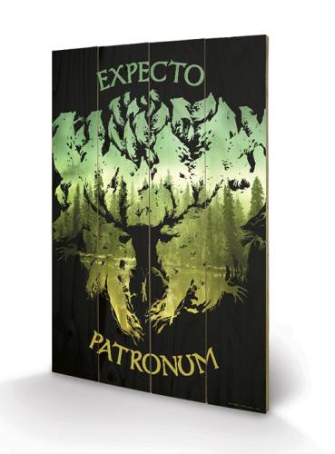 HARRY POTTER - Nadruk na drewnie 40X59 - Expecto Patronum