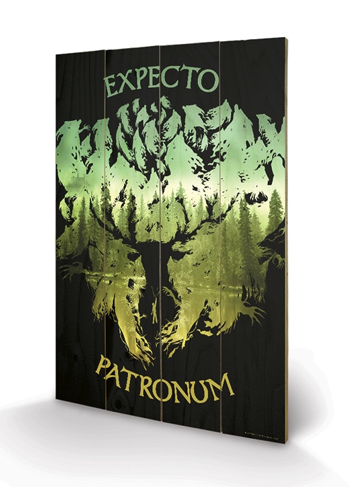 HARRY POTTER - Nadruk na drewnie 40X59 - Expecto Patronum