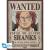 ONE PIECE - Wanted Shanks & Blackbeard - Zestaw 2 plakatów "52x38
