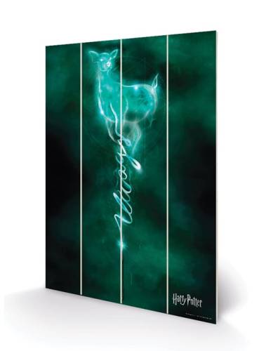 HARRY POTTER - Nadruk na drewnie 20x29,5 - Do Patronusa