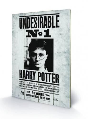 HARRY POTTER - Druk na drewnie 40X59 - Niepożądane nr 1