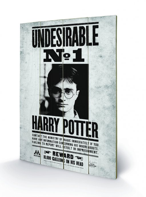 HARRY POTTER - Druk na drewnie 40X59 - Niepożądane nr 1