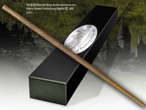 HARRY POTTER - Ściana - James Potter