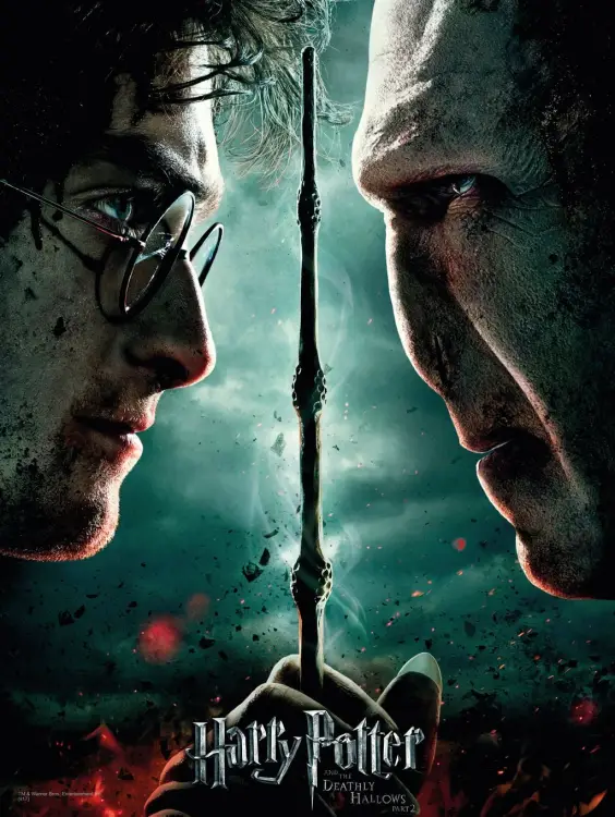 HARRY POTTER - SZKLANY DRUK - Harry / Voldemort - 30X40 cm