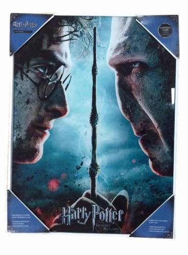 HARRY POTTER - SZKLANY DRUK - Harry / Voldemort - 30X40 cm
