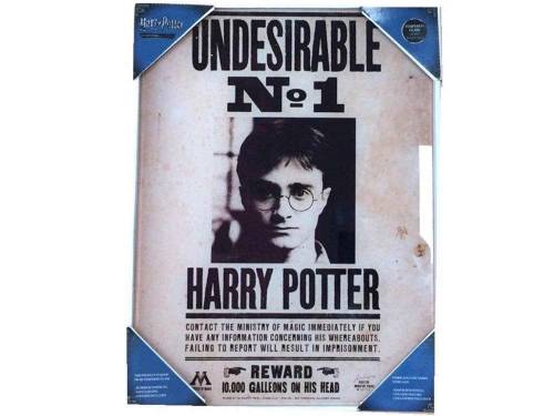 HARRY POTTER - Nadruk na szkle - Undesirable N°1 - 30X40 Cm