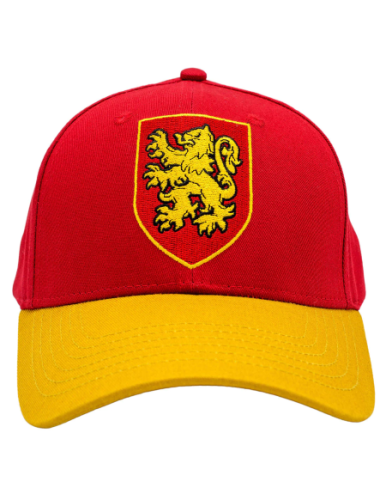 HARRY POTTER - Gryffindor - Czapka
