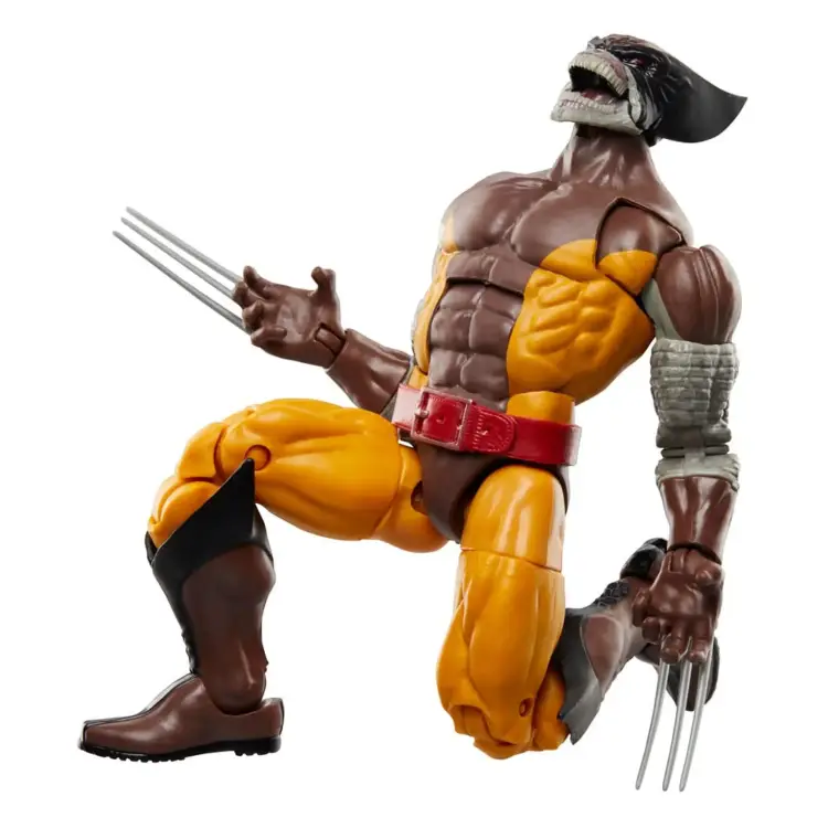 Zestaw 2 figurek: Wolverine 50th Anniversary Marvel Legends Action Figure 2-Pack Wolverine & Lilandra Neramani 15 cm