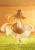 SPICE AND WOLF - Holo "Abundant Harvest" - Pop Up Parade L 23cm