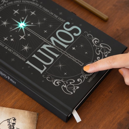 HARRY POTTER - Lomus - Lekki notatnik premium + pióro z różdżką