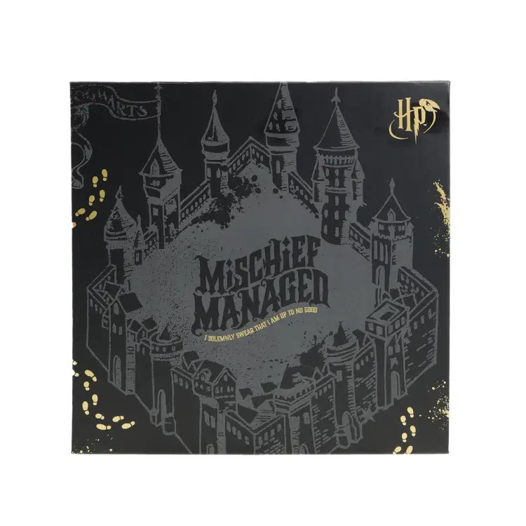 HARRY POTTER - Pudełko na artykuły papiernicze