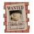 ONE PIECE - Most Wanted Zoro - Skarbonka PVC 16cm