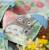 MY NEIGHBOR TOTORO - Totoro Flower Fields - Ręcznik 34x80cm