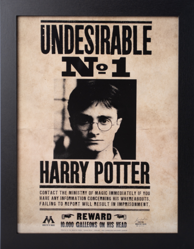 GB Eye - HARRY POTTER - Undesirable N°1 - Collector Print '30x40cm'