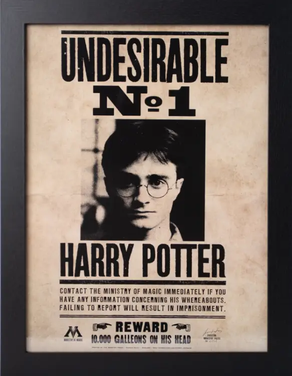 GB Eye - HARRY POTTER - Undesirable N°1 - Collector Print '30x40cm'