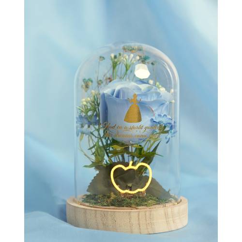 Widdop - DISNEY PRINCESS - Cinderella - Floral Cloche with a Neon Light