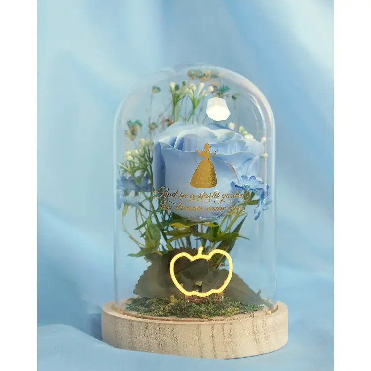 Widdop - DISNEY PRINCESS - Cinderella - Floral Cloche with a Neon Light