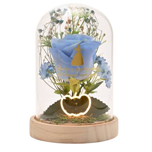 Widdop - DISNEY PRINCESS - Cinderella - Floral Cloche with a Neon Light