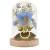 Widdop - DISNEY PRINCESS - Cinderella - Floral Cloche with a Neon Light