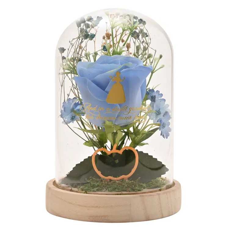Widdop - DISNEY PRINCESS - Cinderella - Floral Cloche with a Neon Light