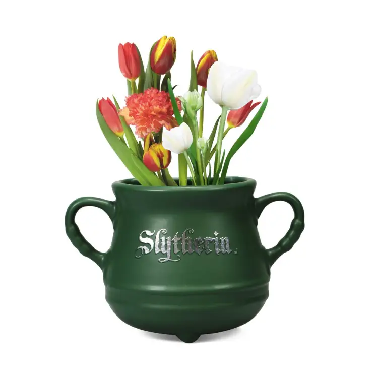HMB - HARRY POTTER - Cauldron Slytherin - Wall mounted flower pot