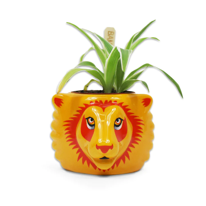 HMB - HARRY POTTER - Gryffindor - Plant Pot