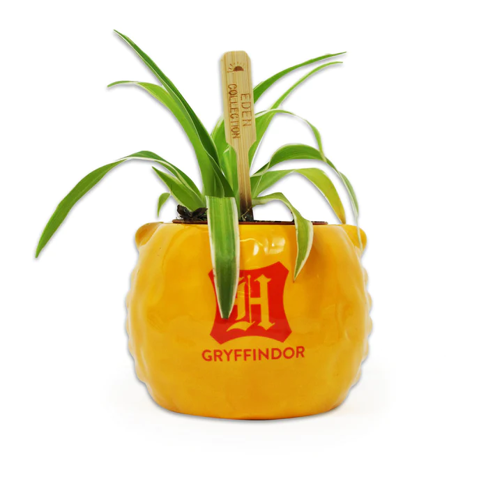 HMB - HARRY POTTER - Gryffindor - Plant Pot