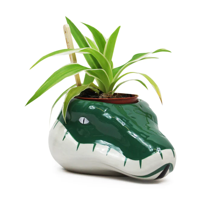 HMB - HARRY POTTER - Slytherin - Plant Pot