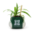 HMB - HARRY POTTER - Slytherin - Plant Pot