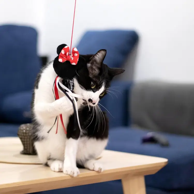 Cerda - MINNIE - Toy - Cat Fishing Pole