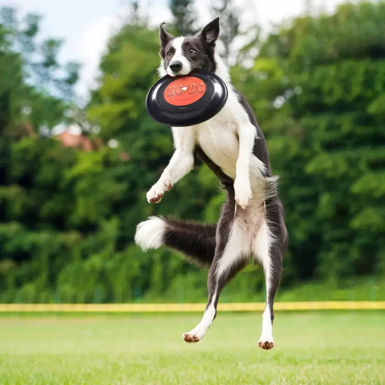Cerda - AC/DC - Dog Toy - Fresbee '23cm'