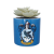 HMB - HARRY POTTER - Ravenclaw - Faux Plant Pot 6.5cm