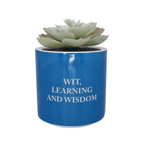 HMB - HARRY POTTER - Ravenclaw - Faux Plant Pot 6.5cm