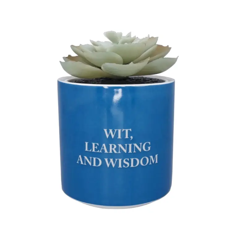 HMB - HARRY POTTER - Ravenclaw - Faux Plant Pot 6.5cm