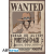 GB Eye - ONE PIECE - Poster 91X61 - Wanted Ace