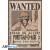 GB Eye - ONE PIECE - Poster 91X61 - Wanted Ace