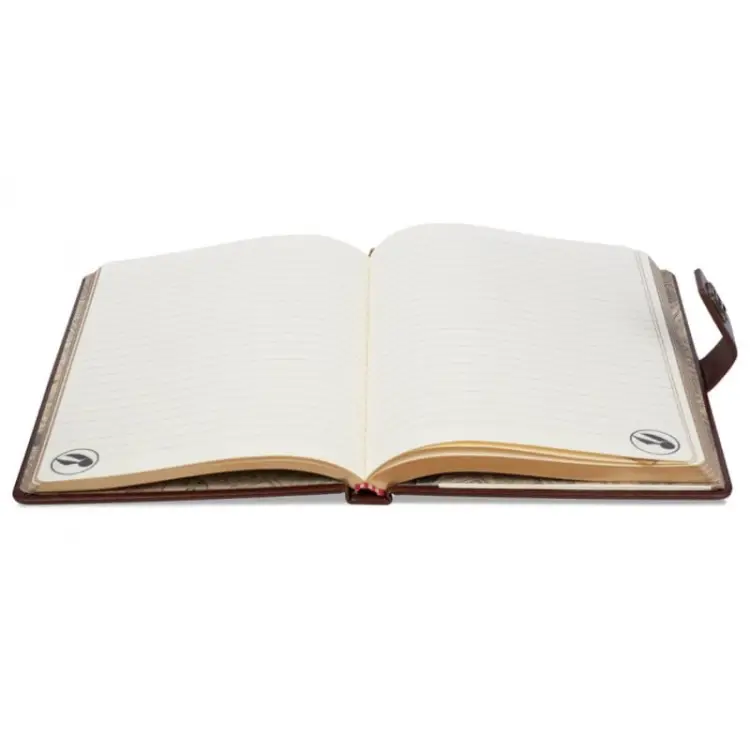 Pyramid - HARRY POTTER - Quidditch - Notebook A5 Premium