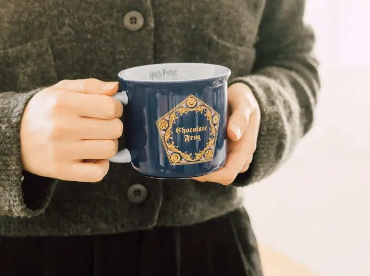 Grupo Erik - HARRY POTTER - Chocolate Frog - Mug 12,8oz